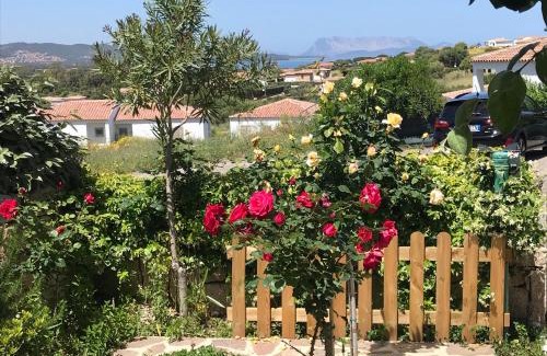 Tanaunella Casa | Frank's Home
