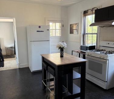 Armour Square Apartamento | Free Parking! Private Rooftop! 3bd near downtown!