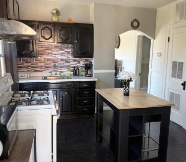 Armour Square Apartamento | Free Parking! Private Rooftop! 3bd near downtown!