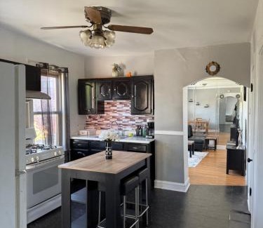 Armour Square Apartamento | Free Parking! Private Rooftop! 3bd near downtown!