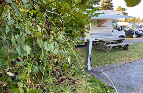 Kristiansand Otro | Freedom of camping life, enjoy sea and beach