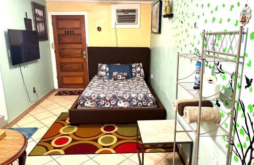 Faubourg Marigny Cama Y Desayuno | French Quarter Inn New Orleans
