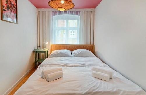 Centrum Apartamento | Frenchie w kamienicy