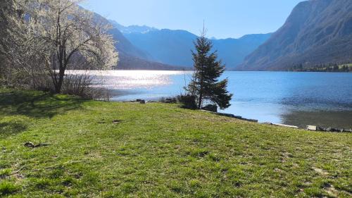 Bohinj Casa | Fresh romance by the river
