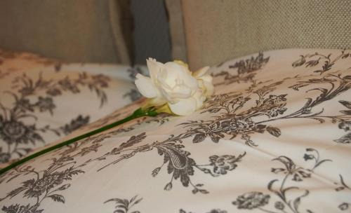 Krowodrza Apartamento | Friedleina 7 Kamienica Prezydencka