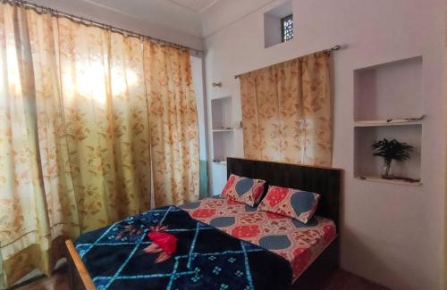 Pink City Casa | Friend India
