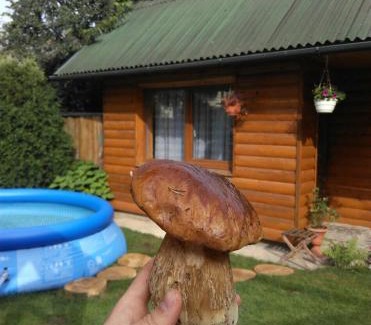 Kolomyya Apartamento | Friendly House