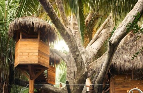 Lo de Marcos Casa | Friends and Family Gulf Getaway! Outdoor Pools, Beachfront, Free Parking!