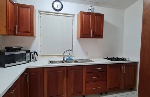 Willemstad Villa | Acogedora villa con jardín tropical y grande piscina privada