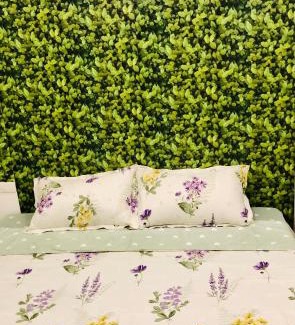 Ngoc Khanh Casa | Friends House Hanoi Homestay