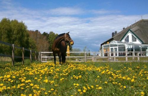 Trassenheide Hotel | Friesenhof Hotel-Restaurant-Reitanlage