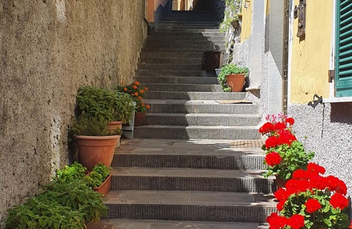 Pitelli Casa | From the Raffy
