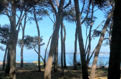 Rivabella Apartamento | Frontemare Davide