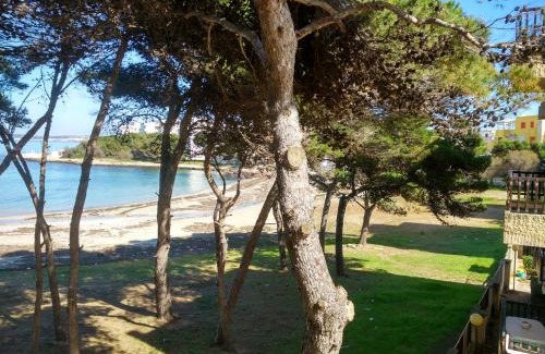Rivabella Apartamento | Frontemare Davide