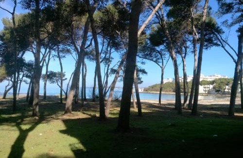 Rivabella Apartamento | Frontemare Davide
