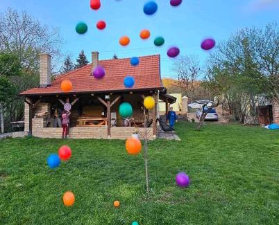 Petrovaradin Casa | Fruška house