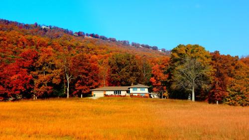 Lookout Valley Neighborhood Association Casa | Fryars' Green at Tennessee RiverPlace