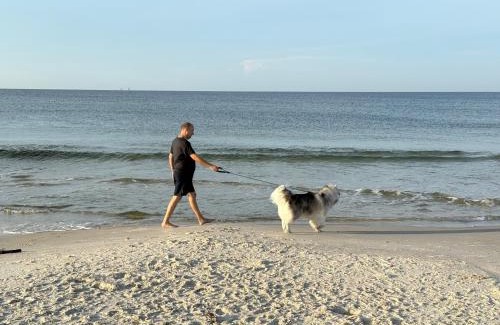 Surf Side Shores Casa | Ft Morgan Bama Belle-Beach Access