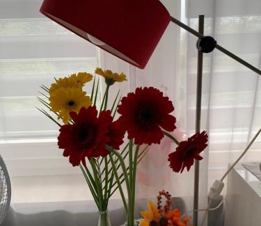 Fulda Apartamento | Fulda Apartment