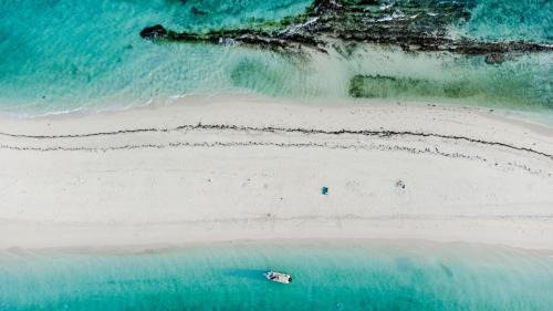 Msasani Peninsula Alquiler De Eote | Full Day Boat Cruise mbudya