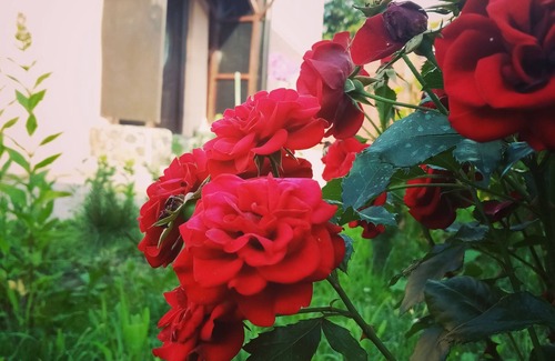 Fierbinti-Targ Casa | Casa completa cerca de Bucarest (35 km)