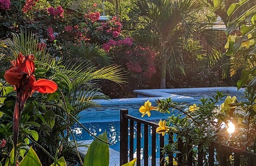 Sámara Casa | Fully equipped studio, short walk to beach, stores and restaurants