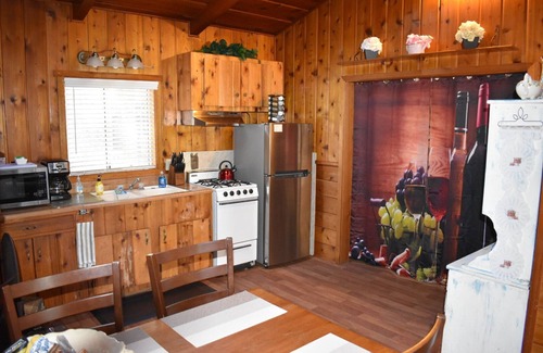 Idyllwild Cabina | Fully fenced backyard for pets. Pets stay free!