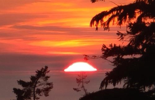 Juan de Fuca Electoral Area Cama Y Desayuno | Funky Forest Bnb