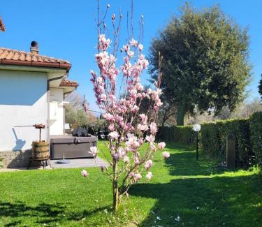 Vitorchiano Apartamento | Fuori dal Borgo.