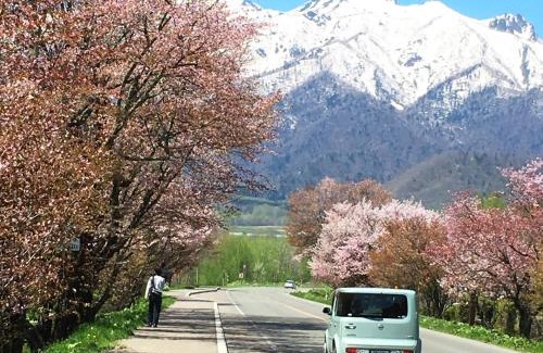 Furano Hotel | Furano - Hotel/Vacation STAY 35781