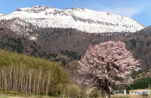 Furano Hotel | Furano - Hotel/Vacation STAY 35781