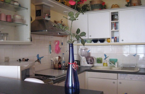 Saint-Louis Apartamento | APARTAMENTO AMUEBLADO EN VERSALLES SAMAIN