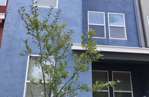 Rancho Cordova Casa | Furnished Corp Townhome @ FWY50 y Zinfandel cerca de VSP, Intel,
