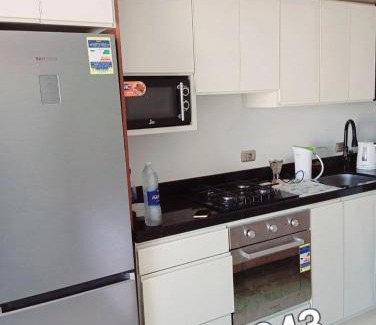 Al-Manasrah Apartamento | furnished vip studio porto said