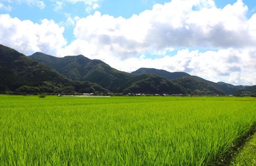 Tsushima Casa | Furusatozukuri"sagosyougakou" - Vacation STAY 12703v