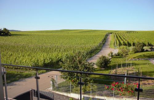 Bischoffingen Apartamento | Gästehaus Casa Luna - Paradiesische Ferienwohnungen am Kaiserstuhl!