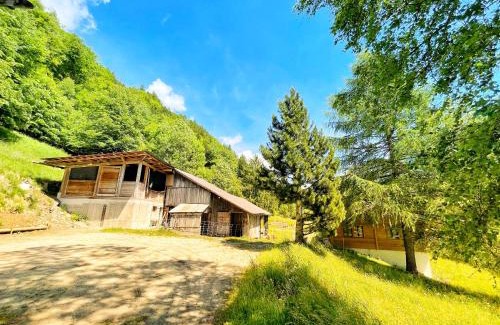 Innertkirchen Apartamento | Gästehaus Milital