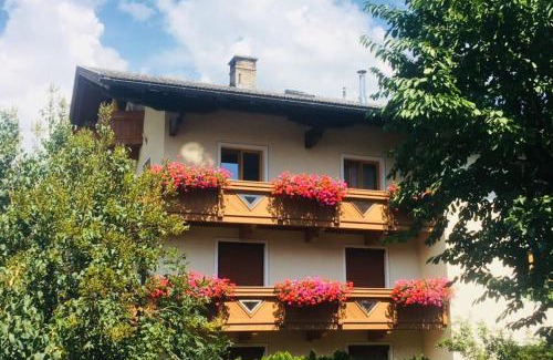 Zell am Ziller Apartamento | Gästehaus Neuhauser