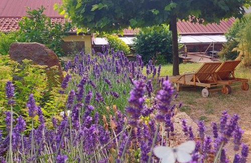 Ilbesheim Casa | Gästehaus Röhm