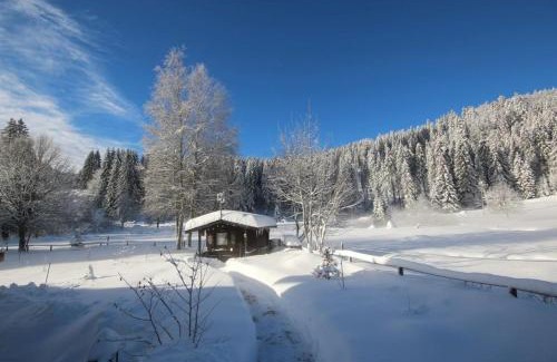 Blasiwald Apartamento | Gästehaus Seewald- Ferienwohnung 4 "Lärche", Schluchsee, Blasiwald