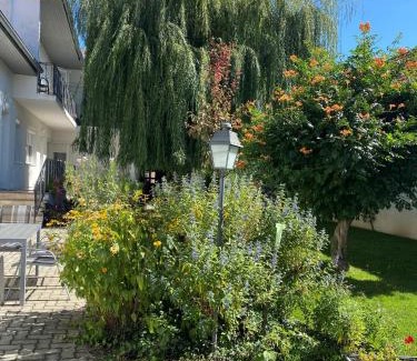 Illmitz Casa | Gästehaus & Weingut Klein