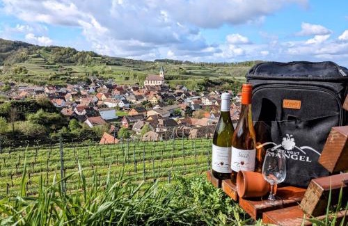 Kiechlinsbergen Casa | Gästehaus Weingut Mangel