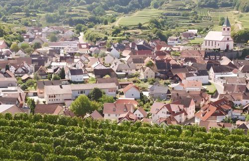Kiechlinsbergen Casa | Gästehaus Weingut Mangel
