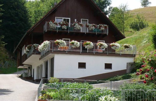 Kirnbach Apartamento | Paloma mimosa