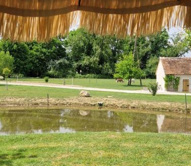Soings-en-Sologne Casa | Gîte à la campagne au calme