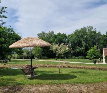 Soings-en-Sologne Casa | Gîte à la campagne au calme