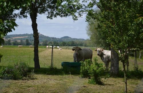 Revel Casa | Gîte à la Ferme de la Bouriette