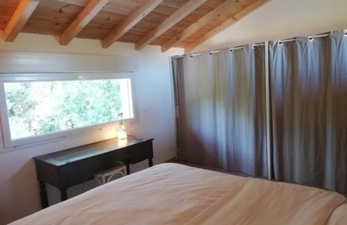 La Teste-de-Buch Casa | Gîte 4 personnes vue sur les pins proche de la Dune du Pilat, entre lac, Bassin et plages océanes