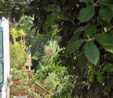 Bonifacio Casa | Gîte Acellu