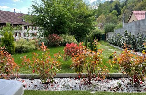 Soultzeren Apartamento | Gîte au bord d’une rivière !